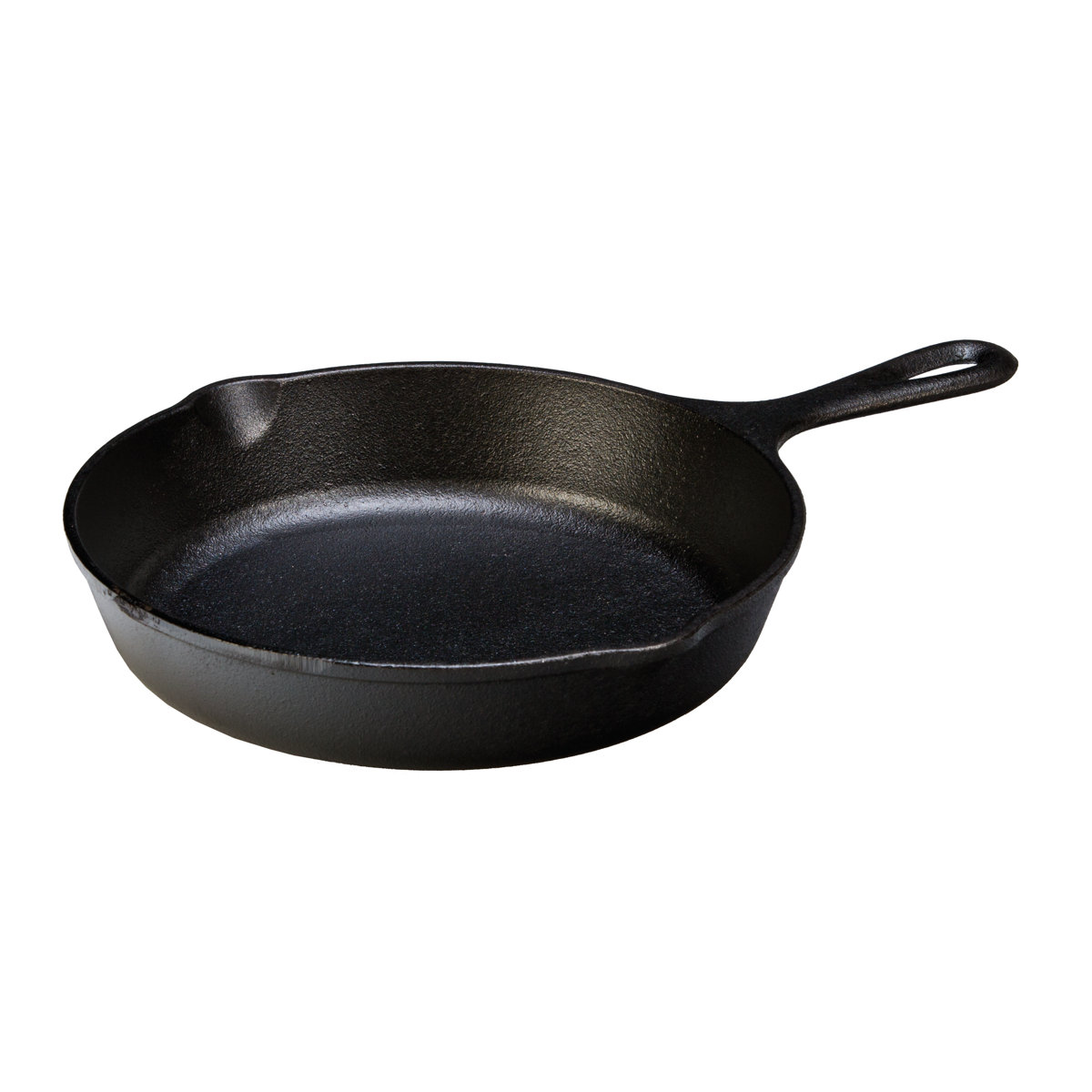 Lodge Cast Iron Skillet